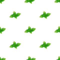 Green mint leaves isolated on white background is in Seamless pattern - vector illustration