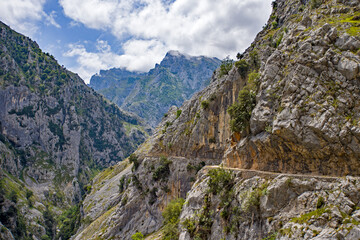 the narrow hiking trail winding along the rock face in the ruta del cares gorge with steep slopes