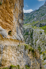 the narrow hiking trail winding along the rock face in the ruta del cares gorge with steep slopes