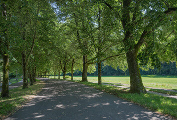 The famous Lichtentaler Allee in Baden Baden. Where emperors and czars strolled. Baden Wuerttemberg, Germany, Europe