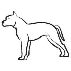Obraz premium Hand drawn American Staffordshire Dog icon