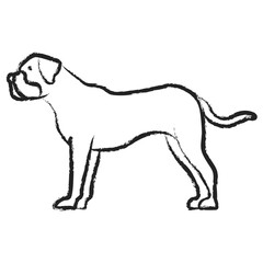 Hand drawn Bullmastiff dog icon