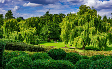 Fototapeta premium People enjoy a sunny summer day at a park in England