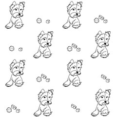 Pattern of puppies of the Yorkshire Terrier and accessories for them: booth, toys, ball