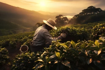 Tuinposter Farmers working in coffee plantations © Jang