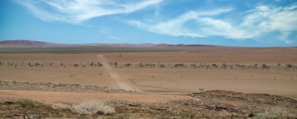 Panoramic view of the Namib desert on a sunny day