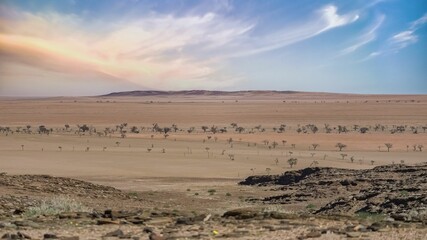 Fototapeta na wymiar Scenic view of the Namib desert on a sunny day