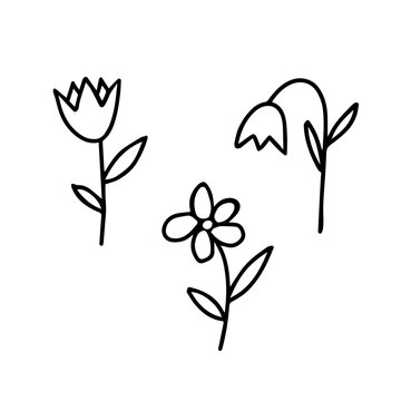Black Vector illustration of a group of three different flowers with leaves isolated on a white background