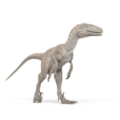 deinonychus is giving a walk