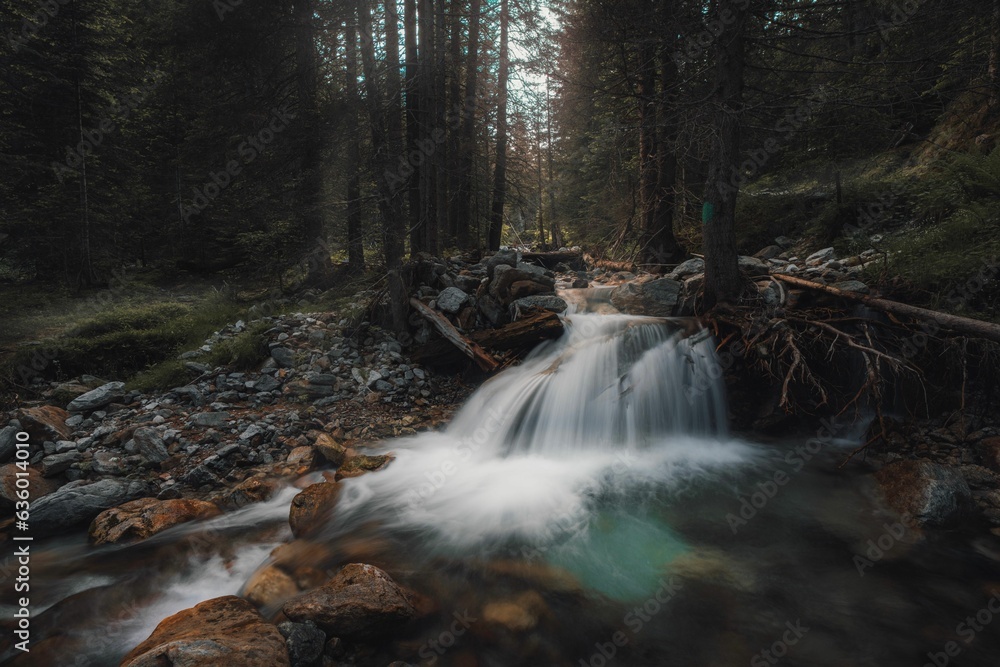 Poster tranquil stream cascading over rocky terrain in a lush forest setting