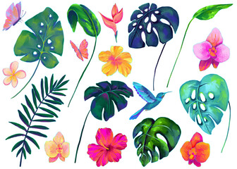 Set of colorful hand drawn monstera leaves and tropical flowers