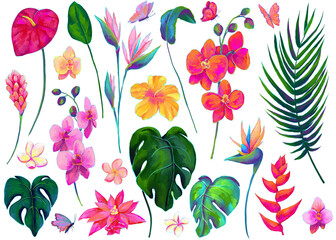 Set of vibrant tropical flowers, butterflies and palm leaves - 636014436