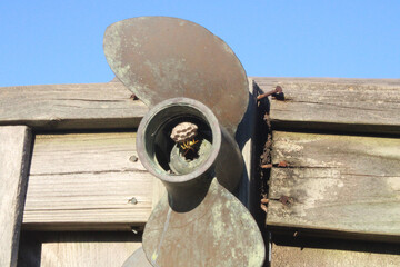 a paper wasp nest inside of an old boat propeller on an old fence 