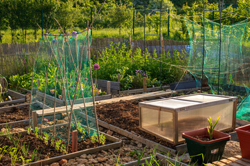 Garden and allotment, Nature 