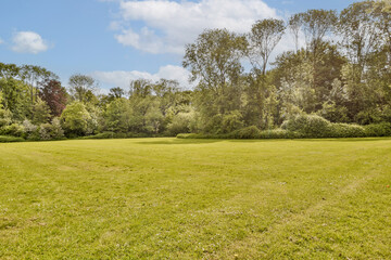 a grassy field with trees in the background and clouds in the blue sky over the green grass on the ground