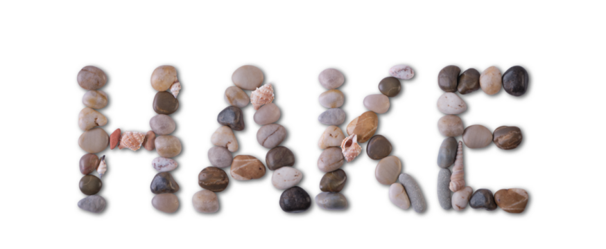 The word "HAKE" is lined with shells and stones of different shapes and colors on a transparent background. Types of fish and seafood, price tag, sea food, fish market, sea alphabet.