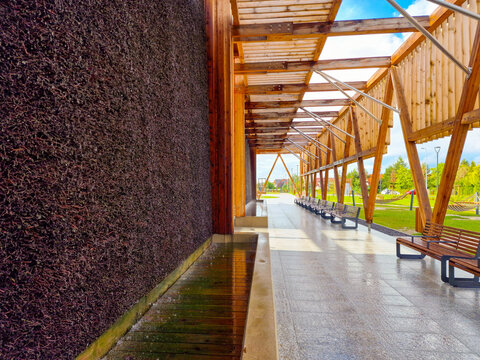 area of park with Brine graduation tower in Opole. Poland