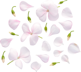 LAYER-LAB_0308218298_LC