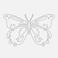 Butterfly outline. Insect countour for painting. Beautiful ornament wings. Vector illustration 