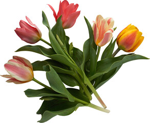 LAYER-LAB_0805208322_LC