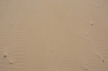 clean beach on the baltic sea