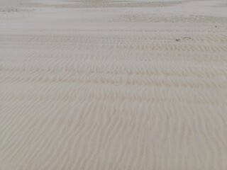 clean beach on the baltic sea