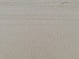 clean beach on the baltic sea