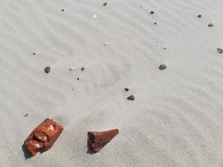 clean beach on the baltic sea