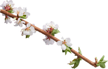 LAYER-LAB_1051816701_LC