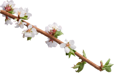 LAYER-LAB_1051816701_LC