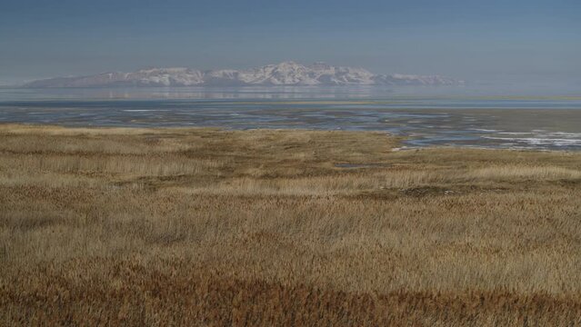 Aerial flyover view of grass near receding Great Salt Lake / Magna, Utah, United States