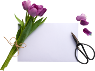 an isolated bouquet of tulips with a blank sheet of paper with Bonzai scissors