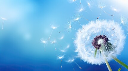 A dandelion silhouette on a vibrant background with seeds in flight