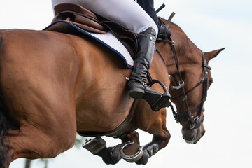 Closeup of a horse jumping over an obstacle during an equestrian show