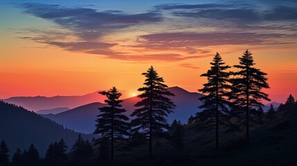 Silhouettes of tall thorny trees in the Rhodope Mountains at sunset against a colorful evening sky in a hilly valley
