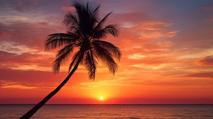 Fototapeta na wymiar Palm tree against stunning sunset silhouette
