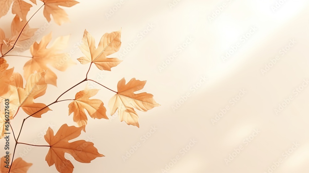 Poster minimalistic autumn background with maple leaf shadows on beige. silhouette concept