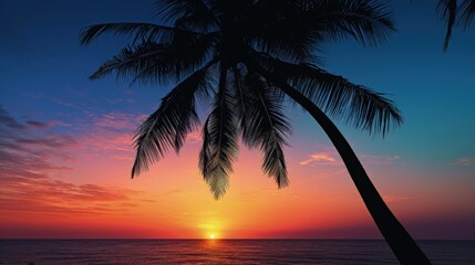Obraz na płótnie Canvas dusk of palm. silhouette concept