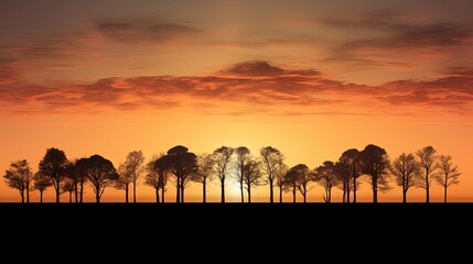 Fototapeta na wymiar Cloudy sunrise over the trees. silhouette concept