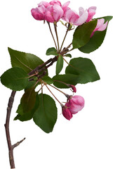 LAYER-LAB_2705196601_LC