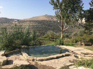 A small spring clear water around green mountains a wooden table Anar springs in Jerusalem