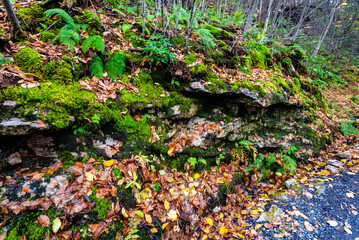 Autumn on Lake Minnewaska