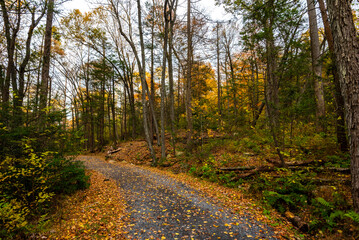 Autumn on Lake Minnewaska