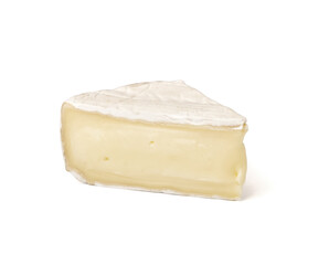 Piece of tasty Camembert cheese on white background