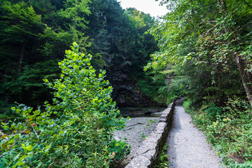 Robert H. Treman State Park: Gorge Trail