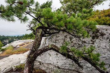 Lake Minnewaska