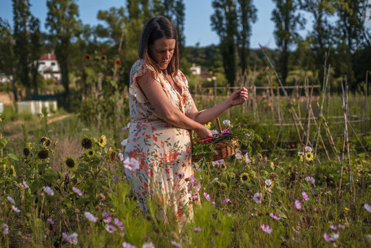 Pregnant woman in the spring summer field