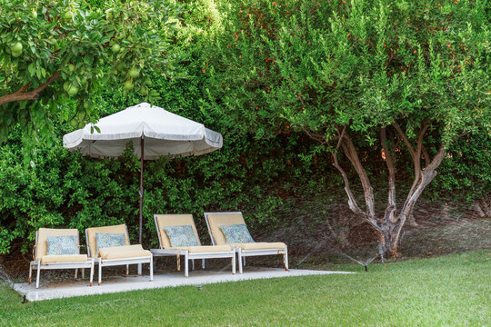  lounge chairs on lawn 