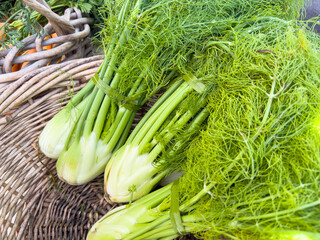 A view of a basket full of fennel, on display at a local farmers market.