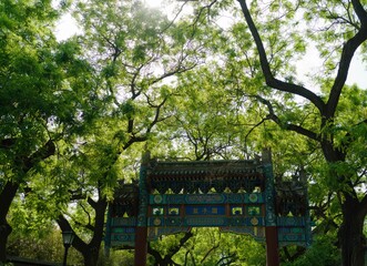 Ornate oriental arch stands surrounded by lush greenery and trees in the background